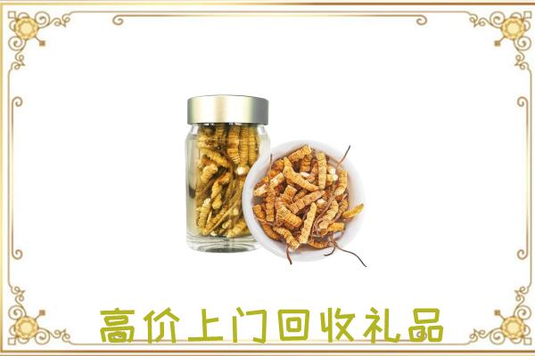 锦州市周边回收虫草